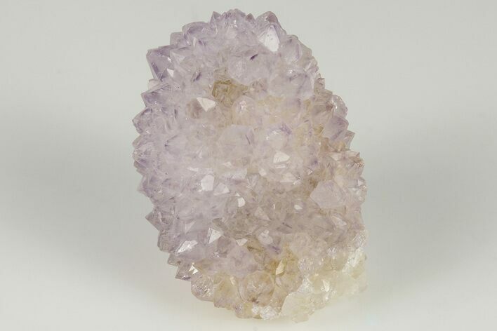 1.3" Cactus Quartz (Amethyst) Crystal - South Africa